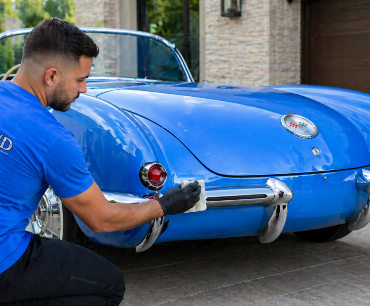 Raleigh Ceramic Paint Protection
